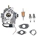SAKITAM Carburetor carb for Lincoln Ranger 8 Welder Generator with 20HP Kohler Engine