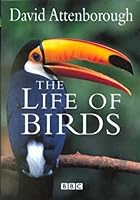 Algopix Similar Product 16 - The Life of Birds