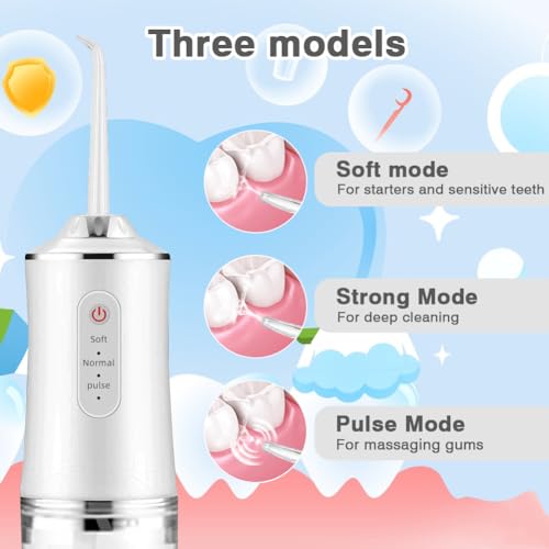 Wireless Oral Irrigator, 300 ml, 4 Nozzles, Interdental Cleaner, Mouth Irrigator, Travel IPX7 Waterproof, USB, Rechargeable - Image 2