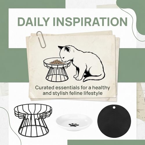 BRRDAQU 2 Stück Katzennapf Erhöht aus Keramik mit Metallständer & Silikon-Matte Futternapf Katze Anti Erbrechen Katzenfressnapf für Futter & Wasser Erhöhte Futterschüssel für ältere Katzen Kätzchen