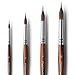 Watercolor Brushes Professional, Fuumuui 4Pcs Extended Needle Point Brushes Synthetic Extra Long Pinhead Brush with Sable Body for Fine Detailing - Watercolor Acrylic Gouache Inks Painting