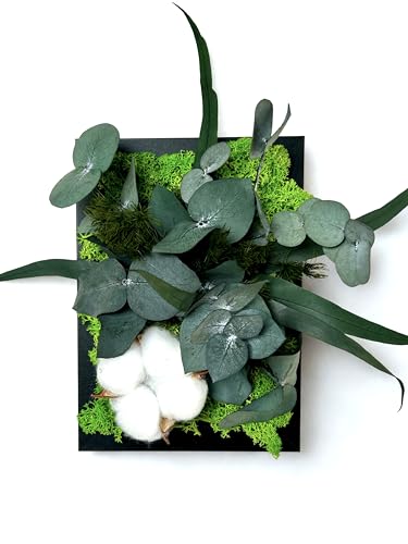 Générique Cadre végétal stabilisé avec Fleurs de Coton et Eucalyptus 17x12 cm