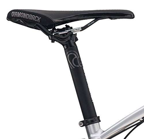 diamondback el oso dos