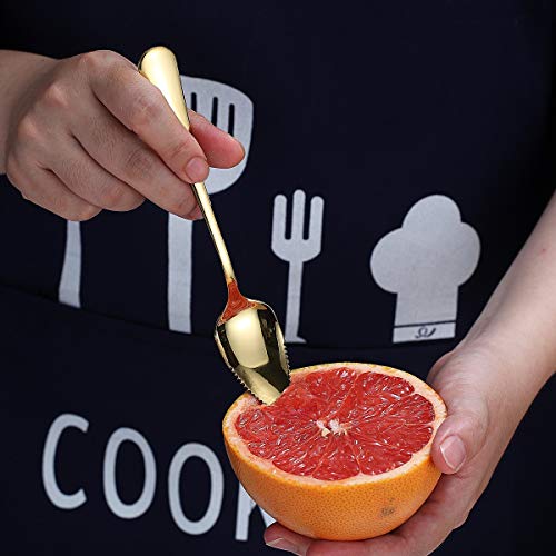 Homquen Gold Grapefruit Spoons 5 Pieces Set, 4 Stainless Steel Grapefruit Spoon And 1 Grapefruit Knife With Titanium Plating, Grapefruit Utensil Set, Serrated Edges Spoon Pack Of 5 (Gold) #TOP4