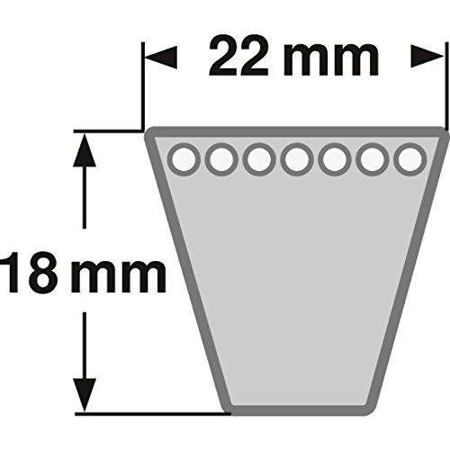 Cinghia trapezoidale SPC 2500 Lw – ConCar