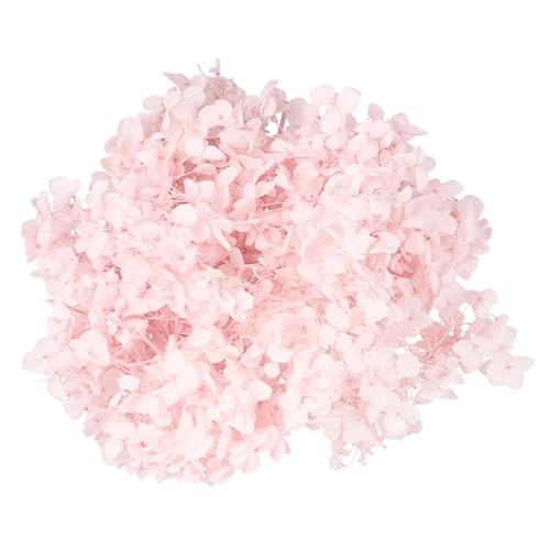 HOMSFOU Pétalos Secos de Hortensia para Decoración miniatura 4