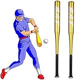 PhiGie 2 Packungen 63,5 cm Baseballschläger aus Aluminiumlegierung, Softballschläger für Jugendliche, Outdoor, Sport, Traing/Übung/Zuhause (Gold)