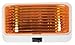 Arcon 18111 12V Universal Porch/Utility Light with Amber Lens, White Base with Switch