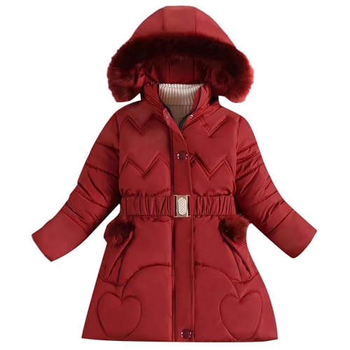 Abrigo de invierno cálido de manga larga resistente al viento con cremallera para niña: chaqueta de forro polar con capucha y parka pesada impermeable para niñas de 3 a 12 años, acolchado con capucha