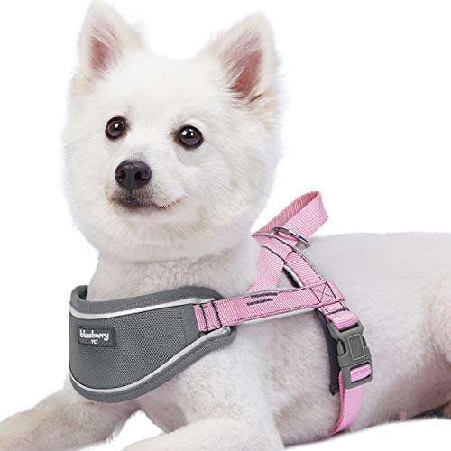 Blueberry Pet 8 Colors Soft & Comfy 3M Reflective Strips Padded Dog Harness Vest, Chest Girth 16.5