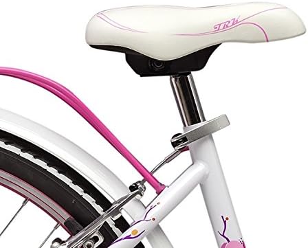 Cicli Adriatica Bicicletta CTB da Ragazza, Telaio in Acciaio, Ruota da 24\