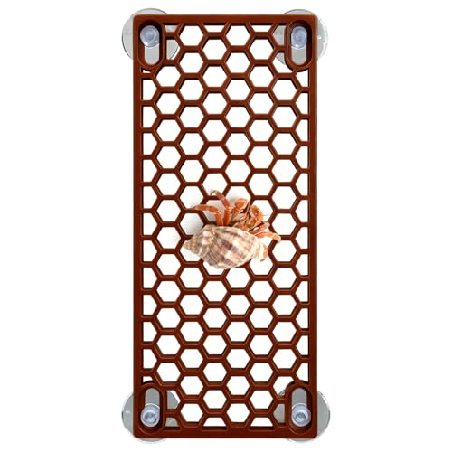Hermit Crab Ladder Toy - Climbing Accessories for Reptiles, Lizards, Chameleons, Crab Habitat & Fish Tank Decoration Supplies (Brown)