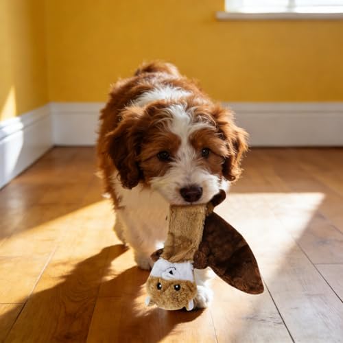 Juguete mordible interactivo para perros pequeño-medianos miniatura 4