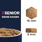 Eukanuba Hundefutter mit frischem Huhn für große Rassen, Premium Trockenfutter für Senior Hunde, 15 kg