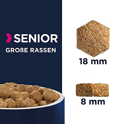 Eukanuba Hundefutter mit frischem Huhn für große und Riesenrassen