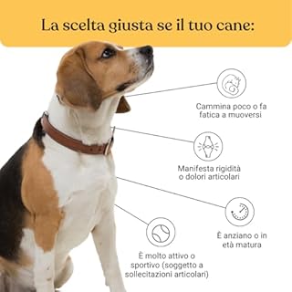 Bau Integratore Articolazioni Cane Anziano, Condroprotettori Cane Anche e Gomiti, Migliora Mobilità e Rinforza le Articolazioni con Condroitina, Glucosamina e Cozza Verde, Compresse per Cani Anziani