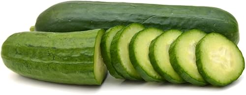 Miniatura 3 de Muncher - Semillas de pepino para plantar, más de 25 semillas tradicionales por paquete, semillas de jardín de Isla (semillas de jardín de Isla),