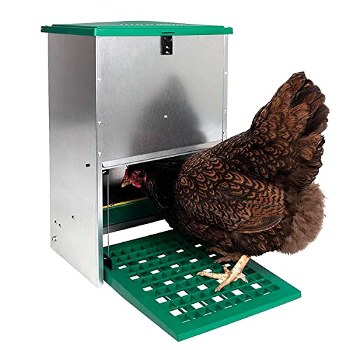 Comedero gallinas antipájaros - Comedero automático para gallinas - Tolva Exterior - Capacidad 5 kg - Incluye Guía Práctica de Alimentación de Las Gallinas