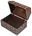 Vintiquewise(TM) Antique Pirate Treasure Chest/Box with Lion Rings