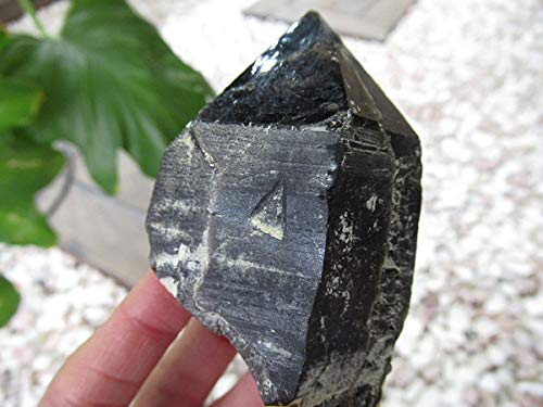 モリオン 黒水晶 原石 タビー レコードキーパーあり スモーキー 魔除け