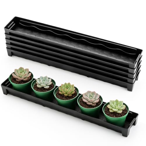 RooTrimmer 5 Pack Window Sill Trays