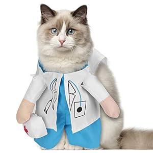 Snufeve6 Katzenbekleidung Kostüm, Halloween Kostüm Katzenanzug Haustierkleidung für kleine Katzen(Weiß, Nummer 4)