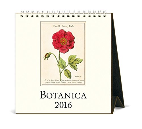 Cavallini Papers & Co CAL16-12 2016 Botanica Desk Calendar