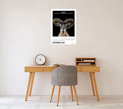 Image of Tallenge - JAMINI ROY- 2026 Wall Calendar - 12 x 17 Inches for Home & Office (Paper, Wall Calendar)