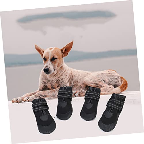 Chaussures pour chien pour protéger ses coussinets du froid