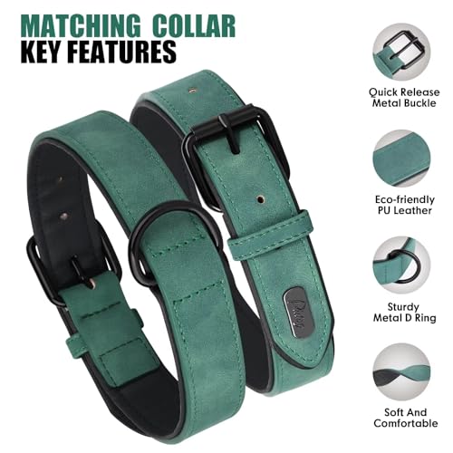 Image of Didog PU Leather Dog Collar and Leash Set, Soft Padded, Green, Neck 11-14 inch