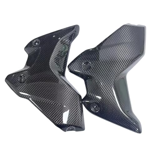 Panneau latéral R1250GS carbone pour voyages et circuits