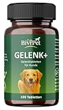 BiviPet GELENK+ – Gelenktabletten für Hunde mit Grünlippmuschel, MSM...