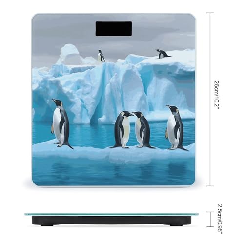 Báscula digital FekiLoot para baño con pantalla grande miniatura 2