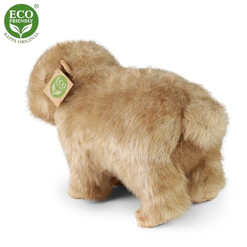 Cochon d'eau peluche capybara Rappa écoresponsable pour des câlins infinis - 4