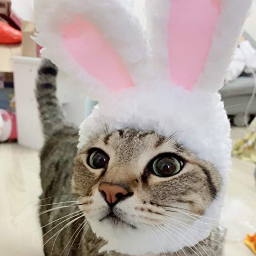 Fiyoom Cute Cat Bunny Ears Headband Pet Plush Hat for Cats & Small Dogs Party Costume Halloween Party Puppy Accessory Headwear