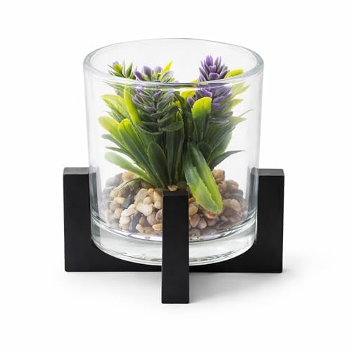 Image of CURATED CART Artificial Plant with Glass Pot for Home Decor, Mini Small Decor Item, Fake Succulent Plant for Office Des, Home Decoration, Artificial Plant with Pebbles & Wooden Stand