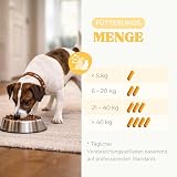 lamina care - Gelenk-Supplement für Hunde und Katzen – Kapseln mit Kurkuma & Piperin – Unterstützt Beweglichkeit, Gelenkfunktion & antioxidativen Schutz – 60 Kapseln