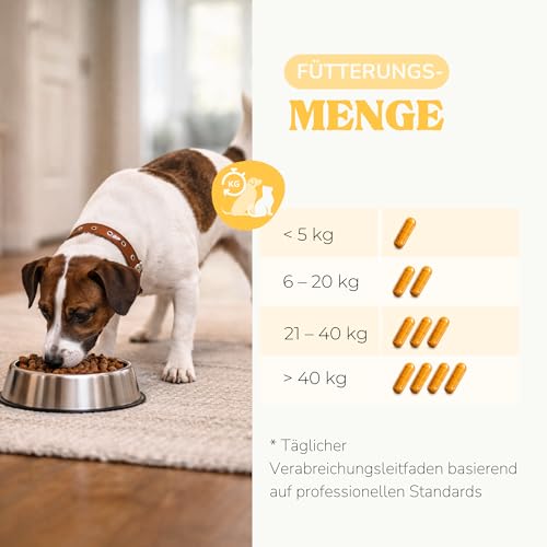 lamina care - Gelenk-Supplement für Hunde und Katzen – Kapseln mit Kurkuma & Piperin – Unterstützt Beweglichkeit, Gelenkfunktion & antioxidativen Schutz – 60 Kapseln