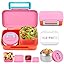 Pink-2 Compartments