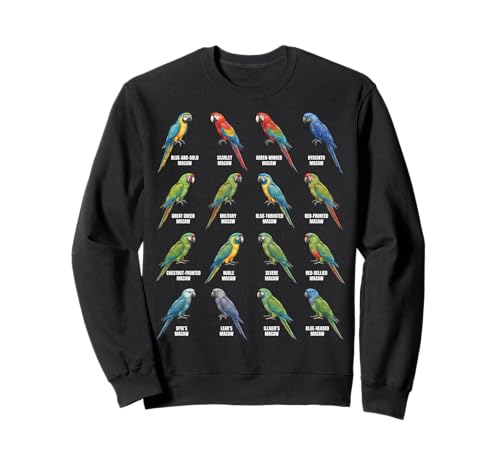 Macaw Species Chart – Types of Macaws Parrot Lovers…