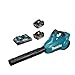 Makita Soffiatore per foglie DUB362PT2 36 V+ 2 batterie agli ioni di litio da 18 V 5,0 Ah+caricabatterie DC18RD, verde