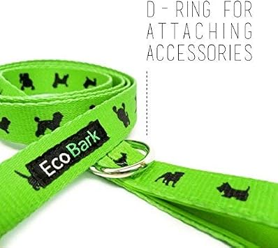 Green Dog Harness and Matching Leash