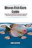 discus fish kaufen  Discus Fish Care Guide: What You Should Know Before Owning a Discus, Habitat, Tank Requirements, Diet and Top Tips to Keep Your Gorgeous Fish Alive and ... free and Easy to Manage (English Edition)