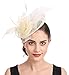 Produktbild Fascinator Blume Netzmütze Feder Mesh Netz Schleier Tea Party Derby Hut mit Clip und Haarband für Frauen (A4-Beige)