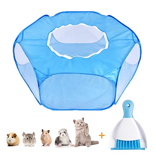 Can My Hamsters Chew On Tree Branches? (Safe Wood+Unsafe Wood)