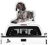 siviwonder Deutsch Kurzhaar DK Auto Aufkleber Photo Hundeaufkleber Dekor Hund Folie