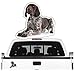 siviwonder Deutsch Kurzhaar DK Auto Aufkleber Photo Hundeaufkleber Dekor Hund Folie
