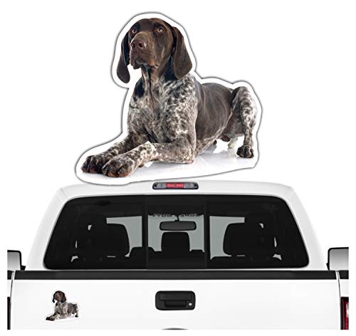 siviwonder Deutsch Kurzhaar DK Auto Aufkleber Photo Hundeaufkleber Dekor Hund Folie