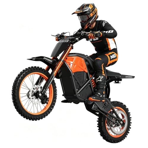 NNET EILLEO 3000W Electric Dirt Bike