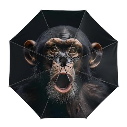 Best umbrella meme Auto Open 3-Fold Windproof Travel Umbrella